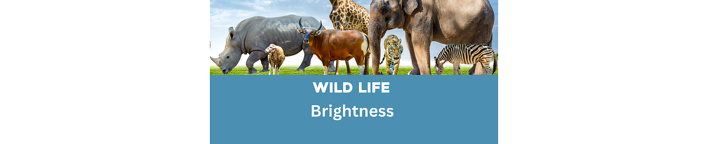 Everything about wildlife Brightness