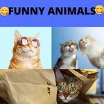 Animal Squad: Cute & Funny Animals of Compilations!