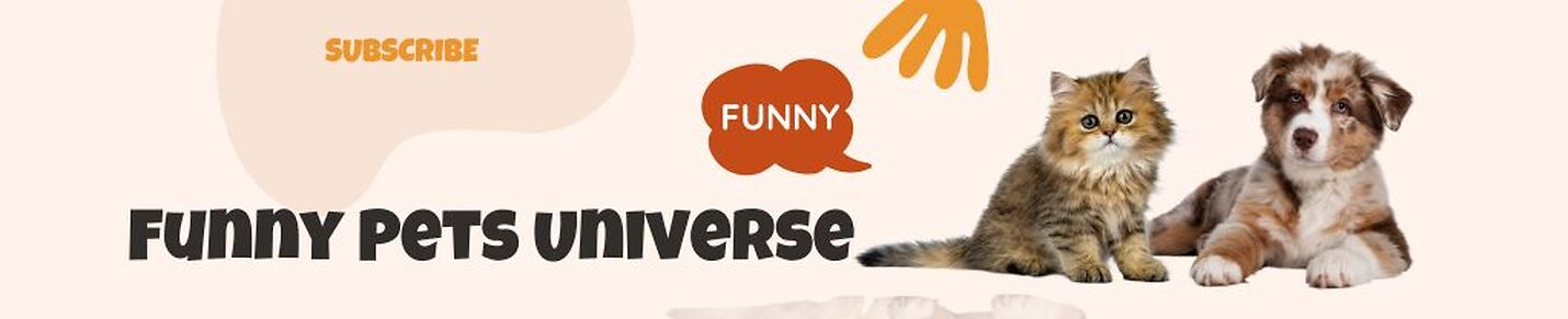 Funny Pets Universe