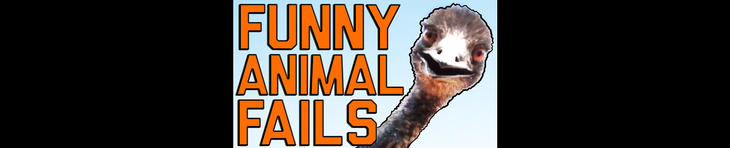 funny videos,funny video,funny animal videos,Fails,Funny Fails,fail,compilation,fail compilation,epic fails,epic fail,weekly,viral,failarmy,comp,best fails,fails compilation,viral video,epic,failure,ultimate,bloopers,fails of the week,funniest moments,Bes