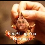 Red Pilling You Normies