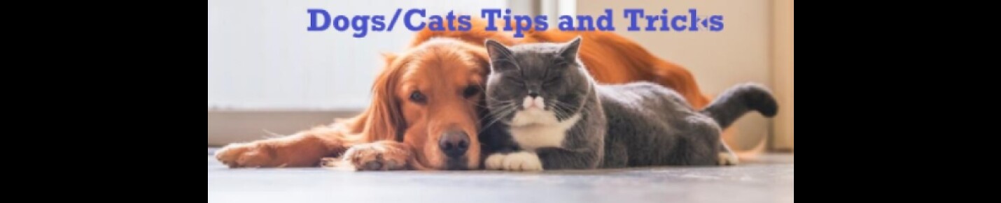 Dogs/Cats Tips and Tricks