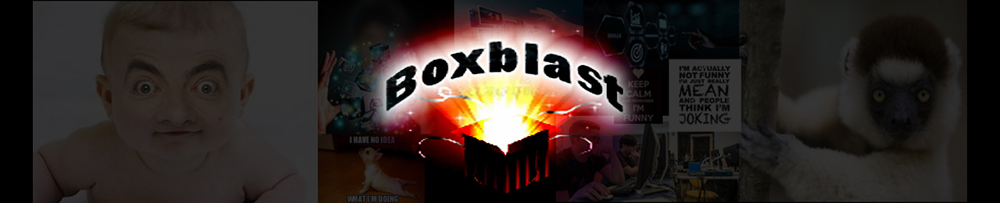 The Box Blast with Fan & info