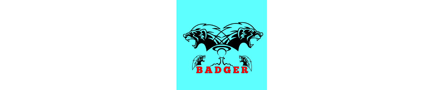 Badger Gaming