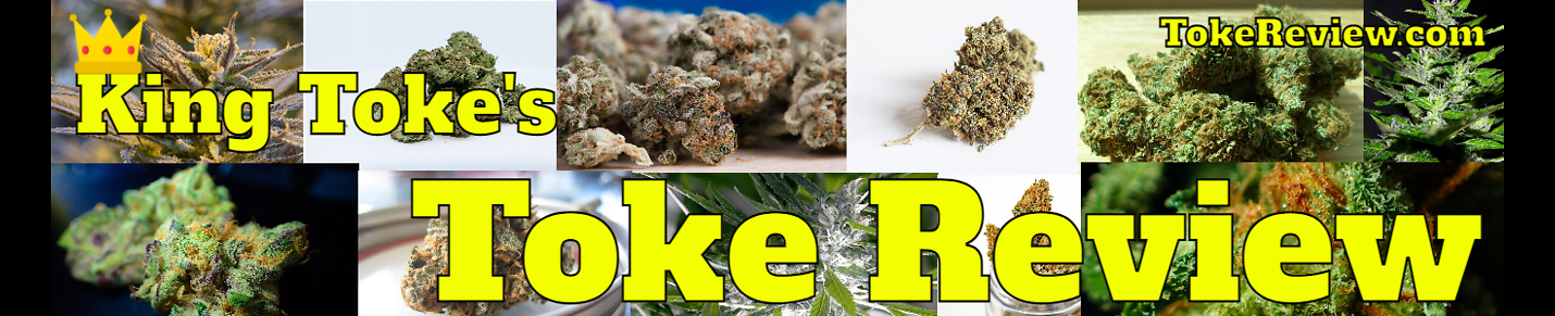 Toke Review