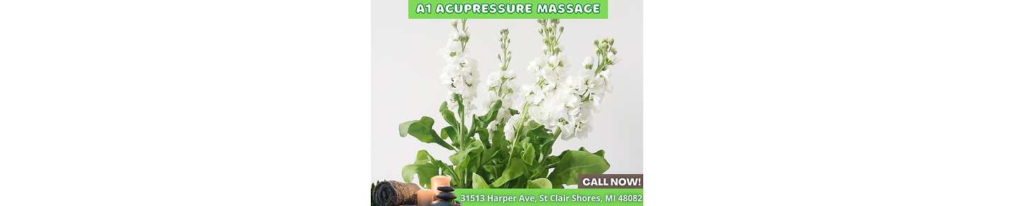 A1 Acupressure Massage