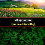 Beautiful environment of the village. Green trees, fruits, flowers, birdsong, green environment,