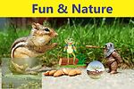 Funny Animal and Nature Videos