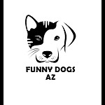 Funny Dogs AZ