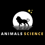 Animals videos channel