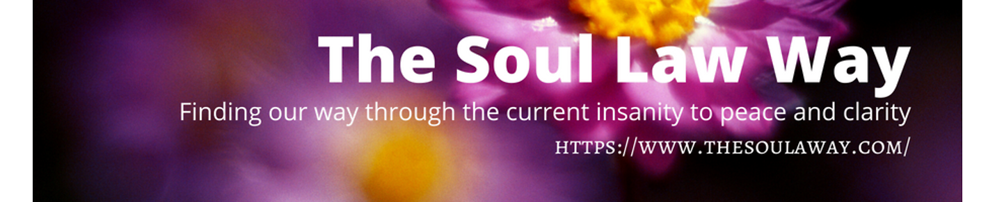 The Soul Law Way courses