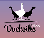 Duckville, USA