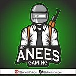 MR ANEES GAMING