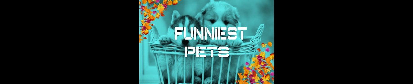 FUNNIEST PETS