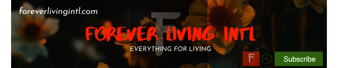 EVERYTHING FOR LIVING