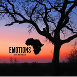 EmotionsofAfrica