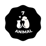 7 animal