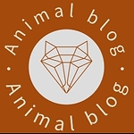 Animal blog