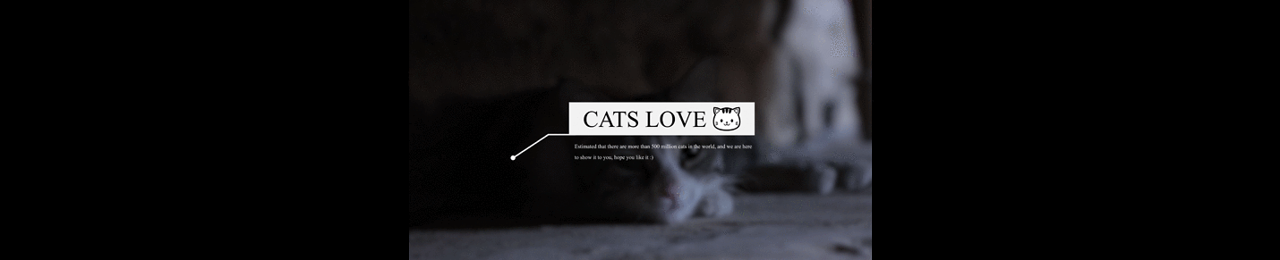 Cats Lovers
