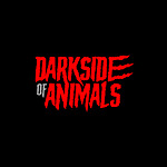 Dark Side of Animals