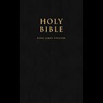 Holy Bible KJV