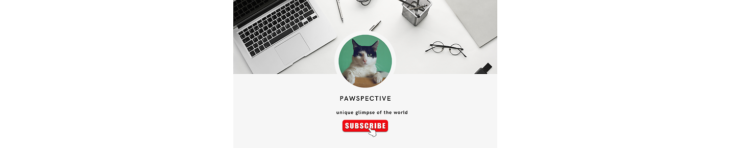 Pawspective - A Heartwarming Look at Life Through Our Furry Friends' Eyes