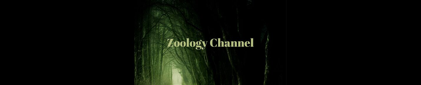 ZOOLOGY CHANNEL