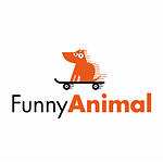 Fun with animals