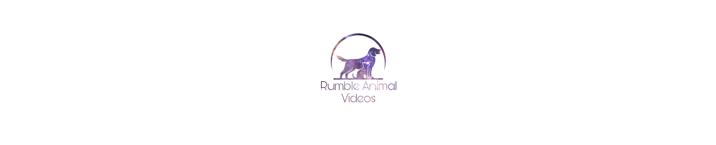 Rumble Animal Videos