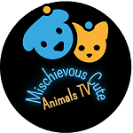 Mischievous Cute Animals TV