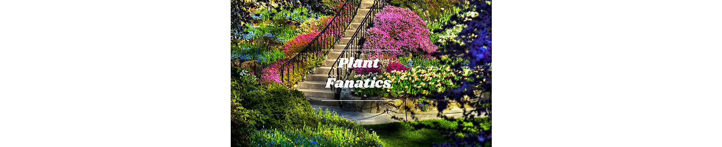 Plant Fanatics