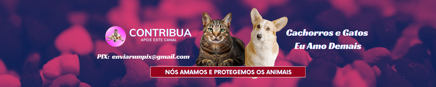 Cachorros e Gatos Eu Amo Demais | Dogs and cats I love too much