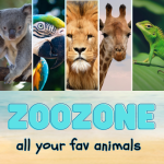 ZooZone: Animal Kingdom in Action