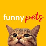 Funny random clips which make you laugh, relaxing and boost your mood.