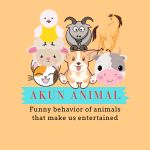 AKUN ANIMALS