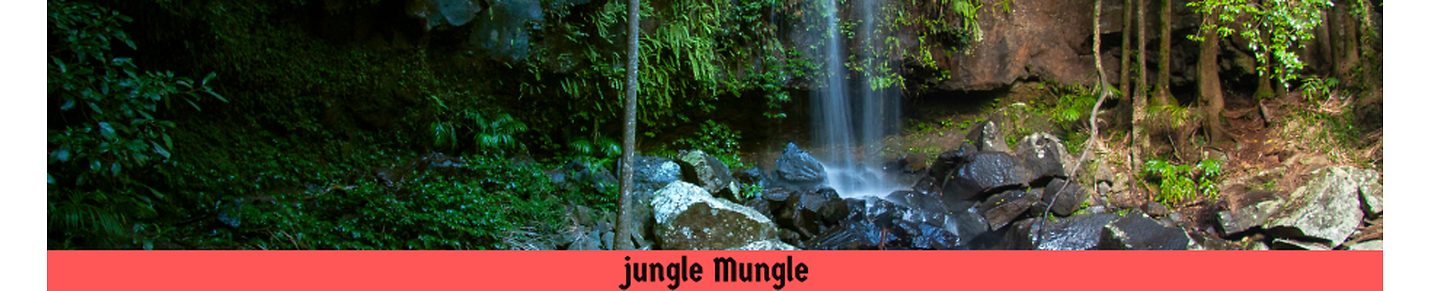 JungleMungle