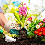 DIY garden , garden ideas , gardening , how to make , do it yourself.