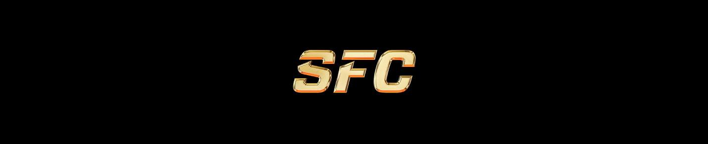 SFC - Slap Fighting Championship