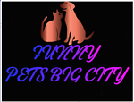 funny pets big city