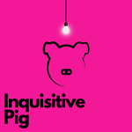 InquisitivePig