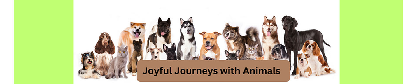 Joyful Journeys with Animals
