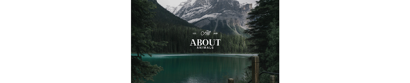 All About Animals