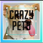 Crazy Pets Studios