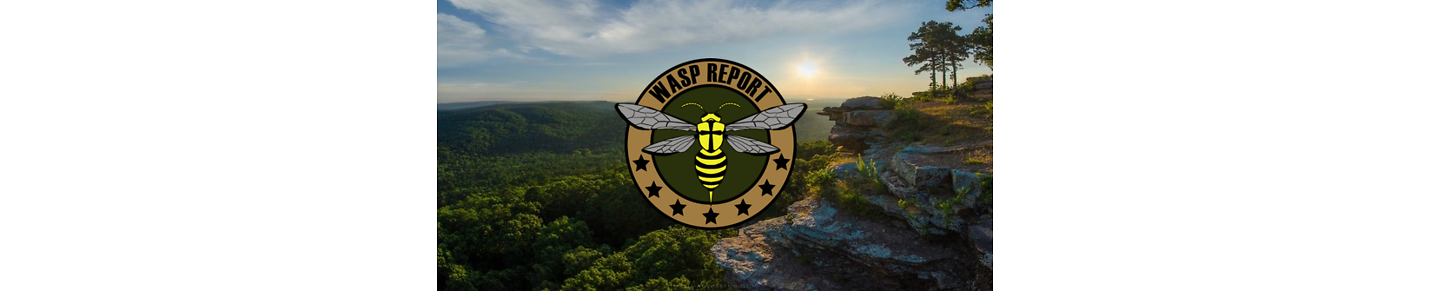 WASP Report