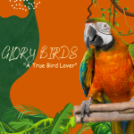 Its All About Loving, Glorious & Exotic Birds