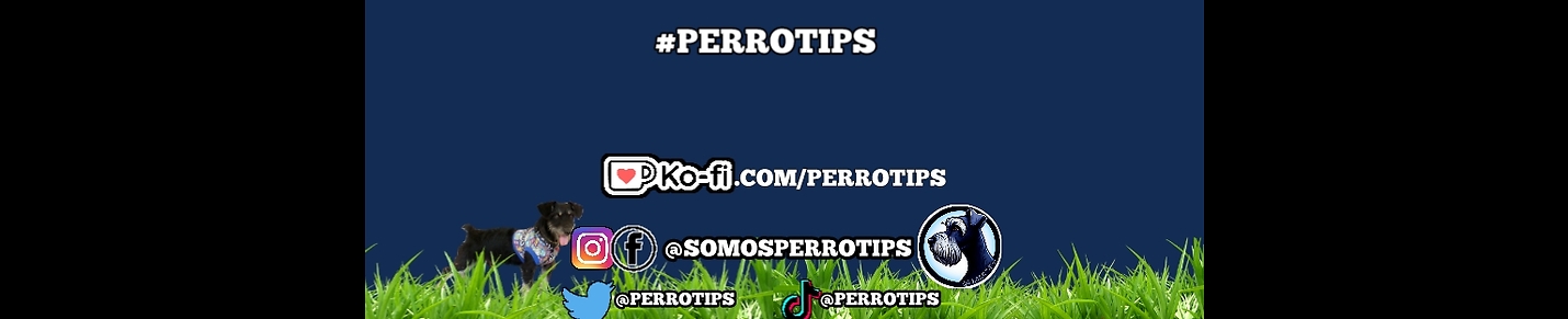 PerroTips