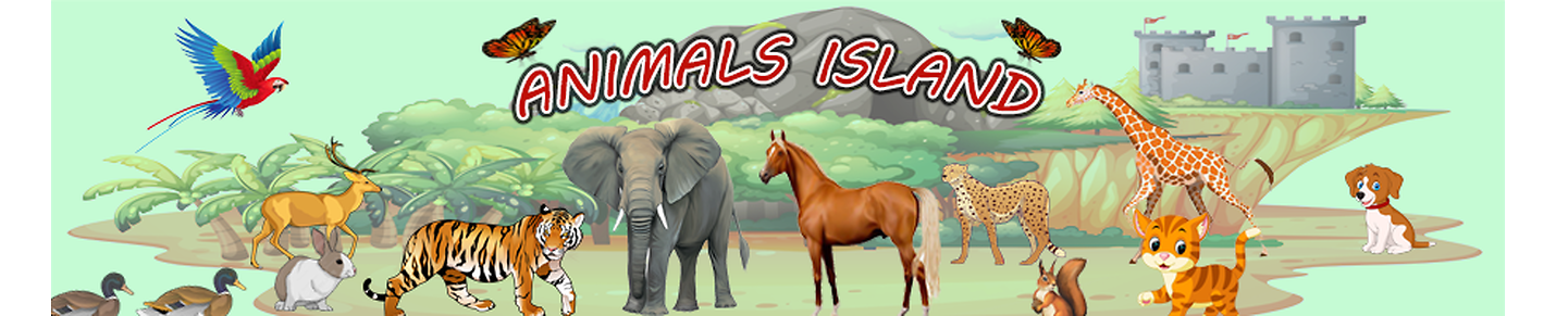 Animals Island