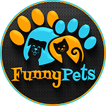Funnypets