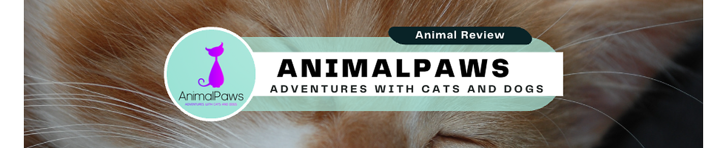 "AnimalPaws: Adventures with Cats and Dogs"