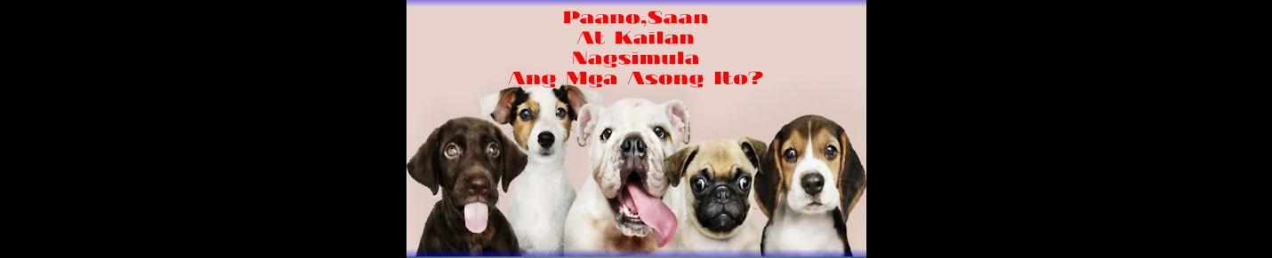 the mazing dogs ang puppies